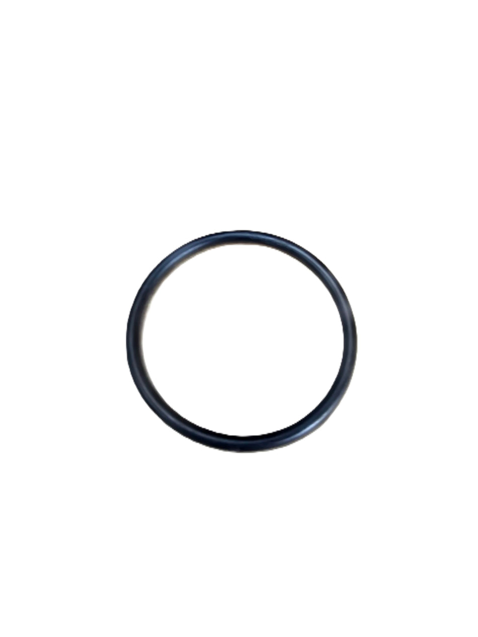 Agitator Flange 60mm O-Ring: suits AFMS60DUB Agitator Flange Qty: 2 - Free Shipping